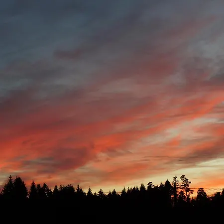 Chateau De - Caveau De Sabrage Frühstückspension 4*