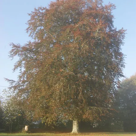 Chateau De - Caveau De Sabrage