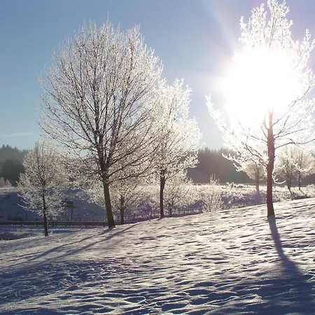 Frühstückspension Chateau De - Caveau De Sabrage Savennes (Puy-de-Dome)