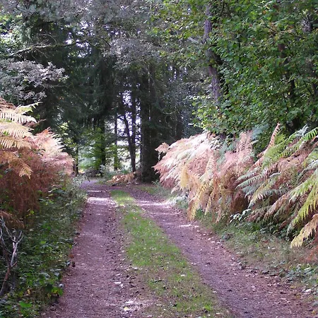 Chateau De - Caveau De Sabrage