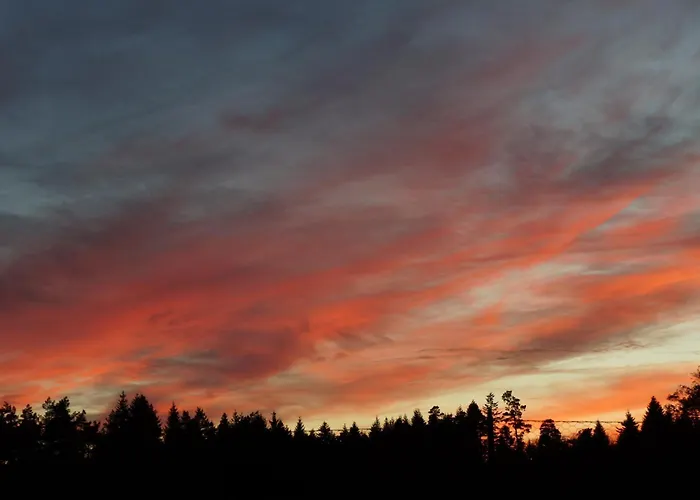 Chateau De - Caveau De Sabrage Frühstückspension 4*