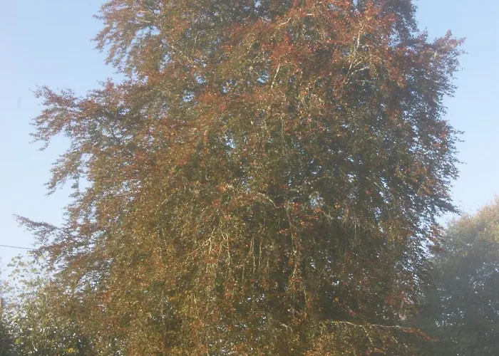 Chateau De - Caveau De Sabrage