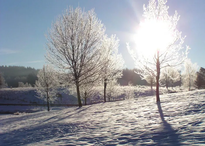 Bed & Breakfast Chateau De - Caveau De Sabrage Savennes (Puy-de-Dome)