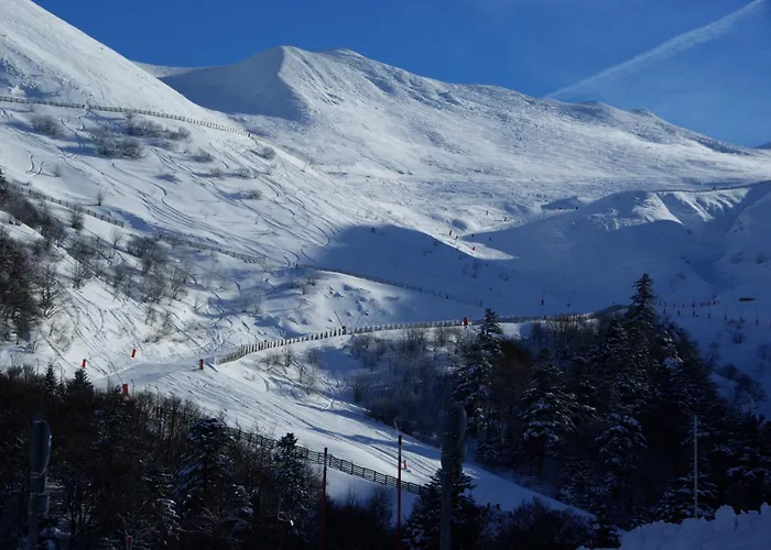 Frühstückspension Chateau De - Caveau De Sabrage