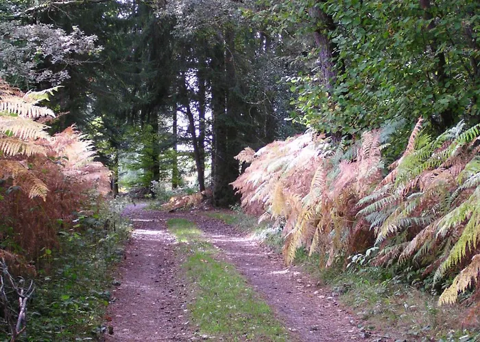 Chateau De - Caveau De Sabrage