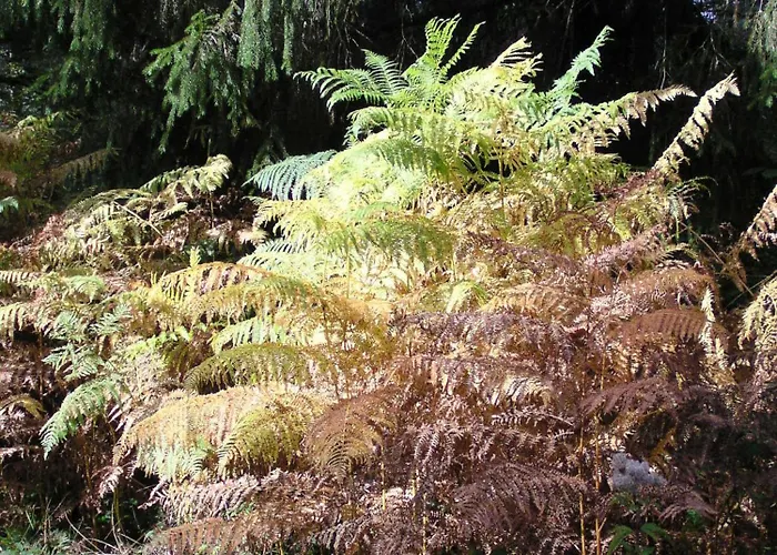 Bed & Breakfast Chateau De - Caveau De Sabrage 4*