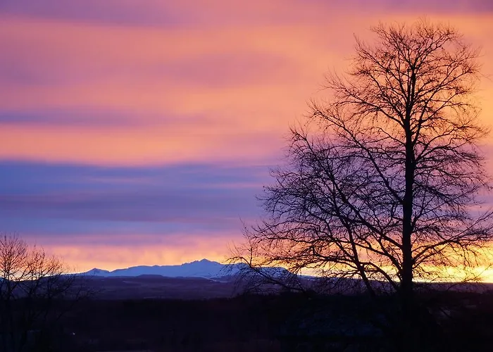 Chateau De - Caveau De Sabrage Frühstückspension