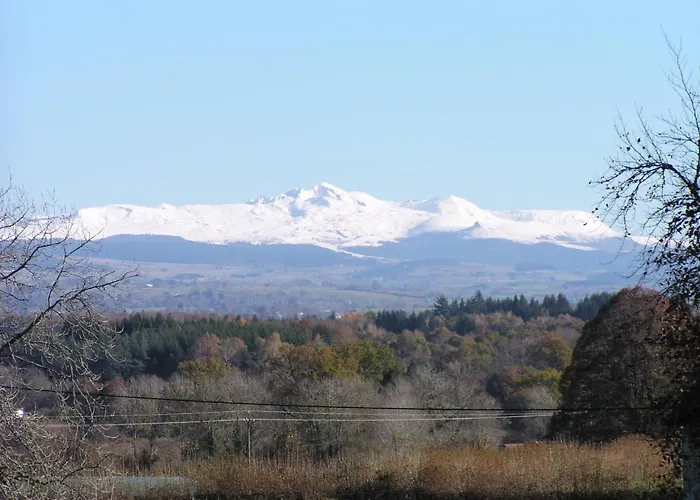 Chateau De - Caveau De Sabrage Frühstückspension Savennes (Puy-de-Dome)